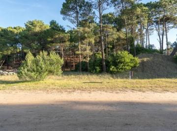Terreno · 400m² · Venta Lote Álamos Pinamar