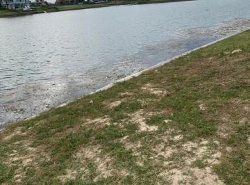 Terreno , Tigre · Lote en Puentes Al Lago en Nordelta
