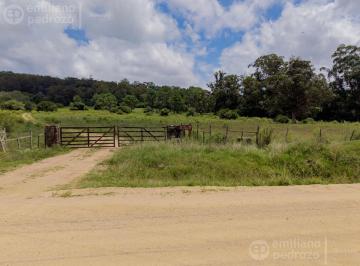 Campo · 60000m² · Venta Chacra en Laguna del Sauce Maldonado