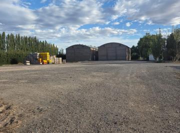 Bodega-Galpón de 4 ambientes, General Fernández Oro · Vendo /alquilo Frigorifico Para Frutas