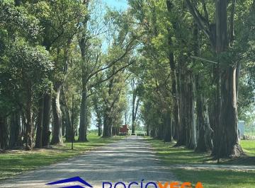 Terreno · 1007m² · Lote a La Venta en Barrio Islas, Tres Pinos, Gral Rodriguez.