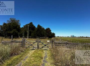 Campo , Chascomús · ¡Ideal Inversores! Excelente Campo Ganadero de 46 Ha Ruta Nac.2, Chascomús, Buenos Aires.
