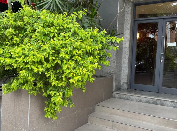 Departamento · 60m² · 2 Ambientes