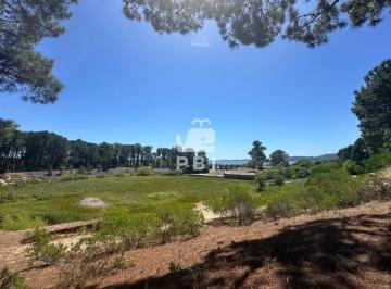 Foto1 · Terreno en Venta en Club del Lago, Punta Ballena. - Ref: Pbi15667