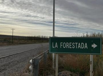 Terreno · 1072m² · Terreno en La Forestada, Añelo, Vaca Muerta