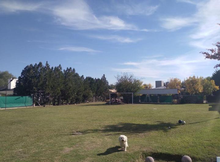 Terreno · 1040m²