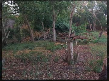 699614.jpg · Lote 500 m en Los Cardales Campana