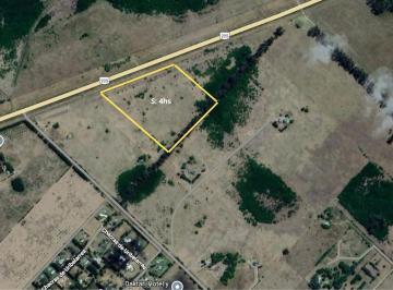Campo · 40000m² · Campo 4hs Sobre Colectora Ruta 205, Uribelarrea