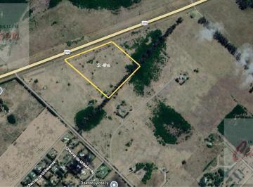 Campo · 40000ha · Campo 4hs Sobre Colectora Ruta 205, Uribelarrea