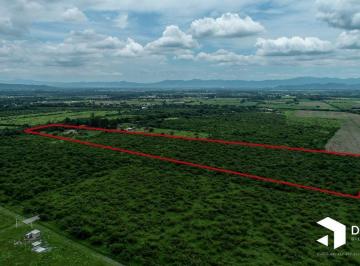 Campo · 121500m² · Venta 12 Ha en Campo Quijano