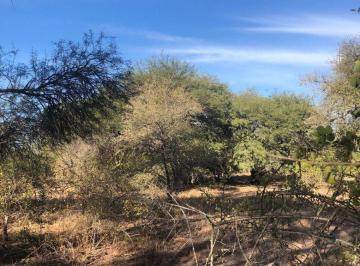Campo , Hickman · Campo en Venta en Hickman - Salta