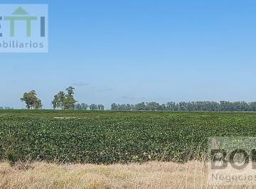 Campo · 1180000ha · Magnífico Campo en Suipacha de Aptitud Agrícola y Ganadera con Arboleda y Casa a Refaccionar