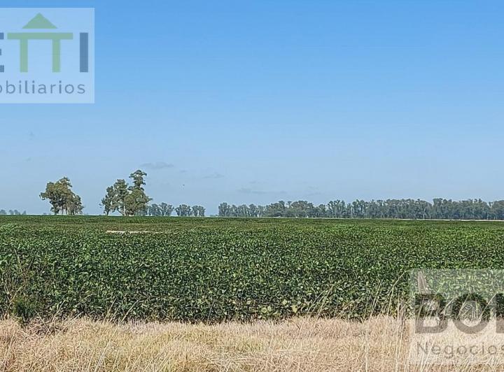Campo · 1180000ha