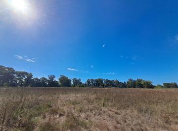 Campo · 10000m² · Terreno Campo en Venta en Arana, La Plata, G. B. a. Zona Sur