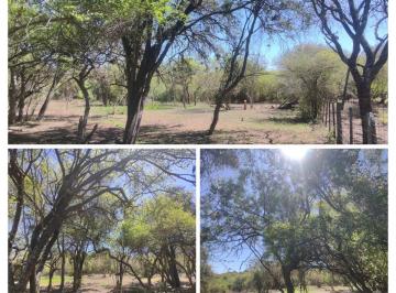 Terreno · 450m² · Terreno en General Alvear