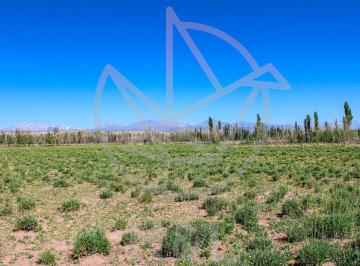 Terreno · 40000m² · Terreno 4 Ha con Pozo y Gas - Acceso Malargüe