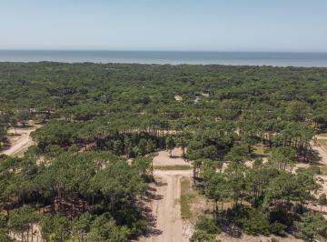 Terreno · 1152m² · Lote en Venta Pinamar Bosques