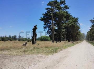 Campo · 11000m² · Oportunidad, Hectarea en Mar del Plata