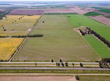 Campo , Pavón · Vendo Campo | 90 Hectáreas | Frente Ruta 21 | Clase II | Altos Rindes | Pavón Santa Fe