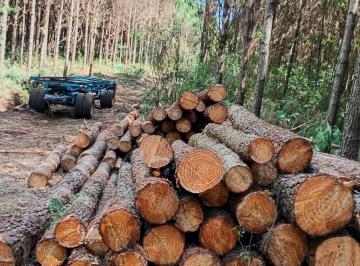 Campo · 1115000ha · Venta Campo en El Dorado/ Misiones