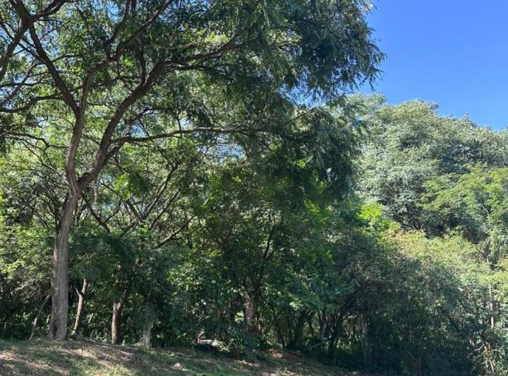 Terreno · 566m²