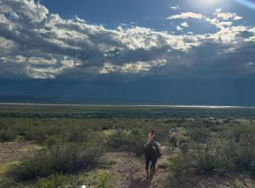 Campo · 2270000m² · Finca en Venta en Corralito, San Carlos - 227 Ha