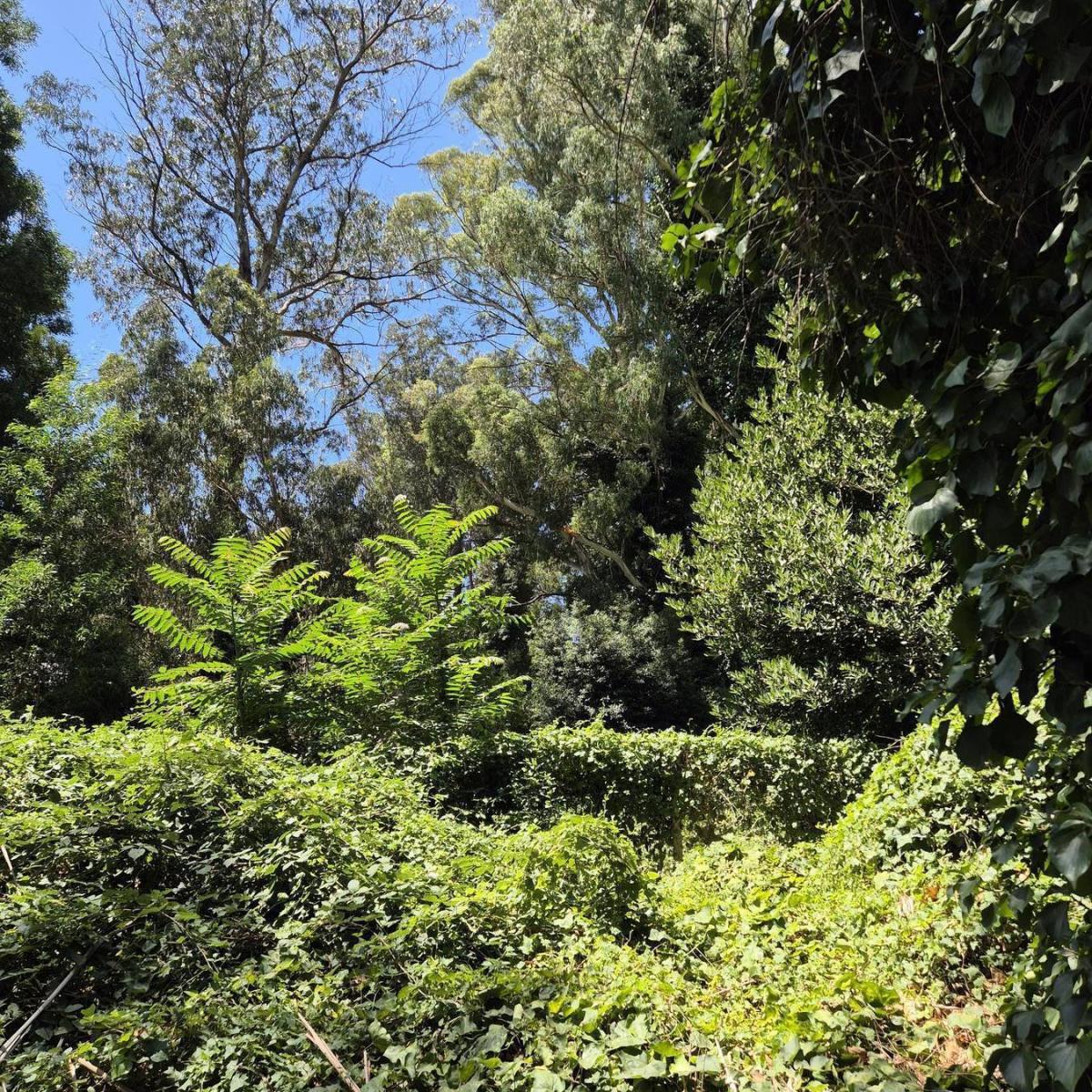 Ubicado en el exclusivo barrio de Bosque Peralta Ramos, este magnífico lote de 686 m² ofrece un entorno natural privilegiado.