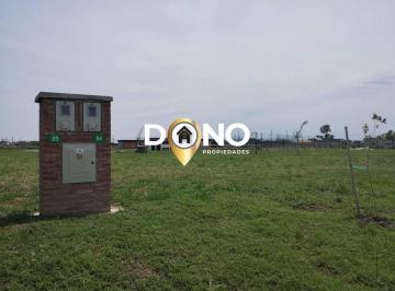 DOP-DOP-2180_2 · Lote. | San Roque - Ezeiza