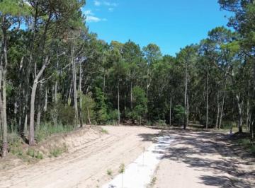 Terreno · 1010m² · Vendo Lote en Carilo Barrio Los Enebros Lote 5