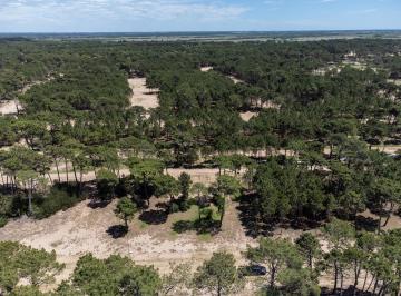 Terreno · 1040m² · Lote en Venta Pinamar Norte Barrio Bosques
