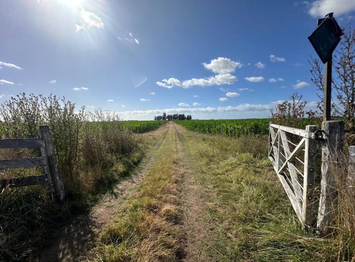 Campo · 207m² · 1 Ambiente