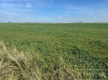 Campo · 6670000m² · Campo Mixto en Venta de 667 Has - Gonzalez Chaves.