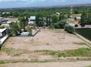 Terreno , Tupungato · Amplio Terreno en Venta, Av Correa/ruta 86, Tupungato - 50 m Frente - Ideal Inversión/desarrollo