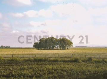 Campo · 1470m² · Venta Campo 1470 Ha Apto Ganaderia y Agricultura Logroño