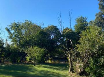 Terreno · 130m² · Terreno/ Quinta / Lote en Barrio Industrial
