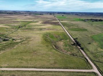 Campo · 500000m² · Campo en Venta - 50 Hectáreas - General Madariaga