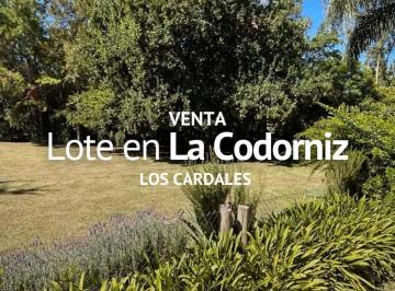 Terreno · 1057m² · Terreno en Venta, Barrio La Codorniz, Los Cardales