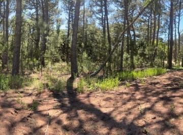 Terreno · 1010m² · 1 Ambiente · Lote en Venta en Carilo. Barrio Enebros
