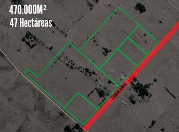 Campo · 470000m² · Campo en Venta - 470.000 m² - 47 Hectáreas - Magdalena, Atalaya