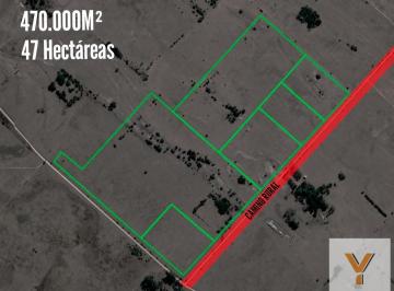 Campo · 470000m² · Campo en Venta - 470.000 m² - 47 Hectáreas - Magdalena, Atalaya