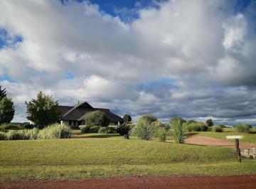 Terreno · 4000m² · Terreno - El Golf