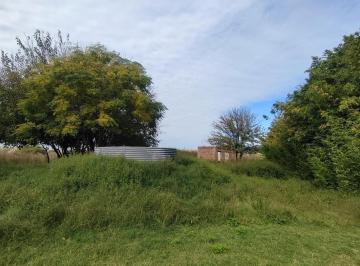 Campo · 40000m² · Campo en Venta - 40.000 m² - San Andrés de Giles