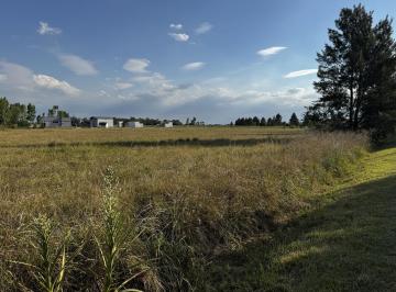 Terreno · 7504m² · Venta Terreno en Malvinas I Brandsen