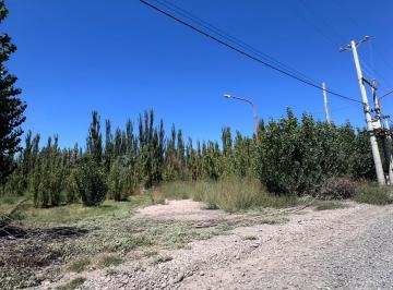 Terreno · 300m² · Terreno - Cinco Saltos