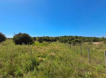 Terreno , Villa Berna · Terreno de 1.96 Hectáreas en Villa Berna