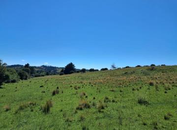 Terreno , Villa Berna · Terreno de 2.38 Hectáreas en Villa Berna