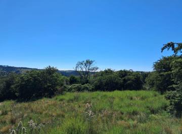Terreno , Villa Berna · Terreno de 3.88 Hectáreas en Villa Berna