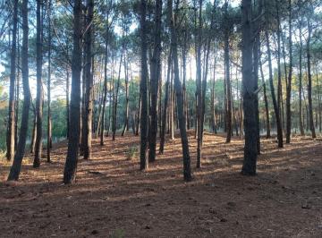 Terreno · 1047m² · Lote en Venta en Villarobles, Brisas 176, Cerca del Mar