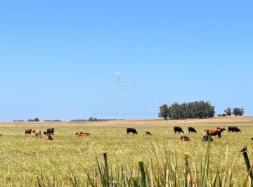 Foto1 · Campo en Colonia