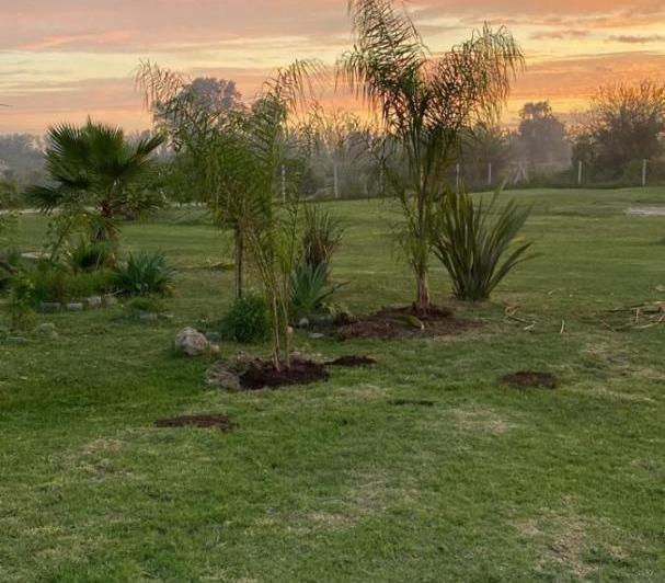 Terreno · 15000m²